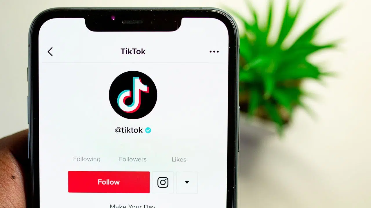 Nuevo Programa Creatividad de TikTok: ¿Qué es y cómo funciona?