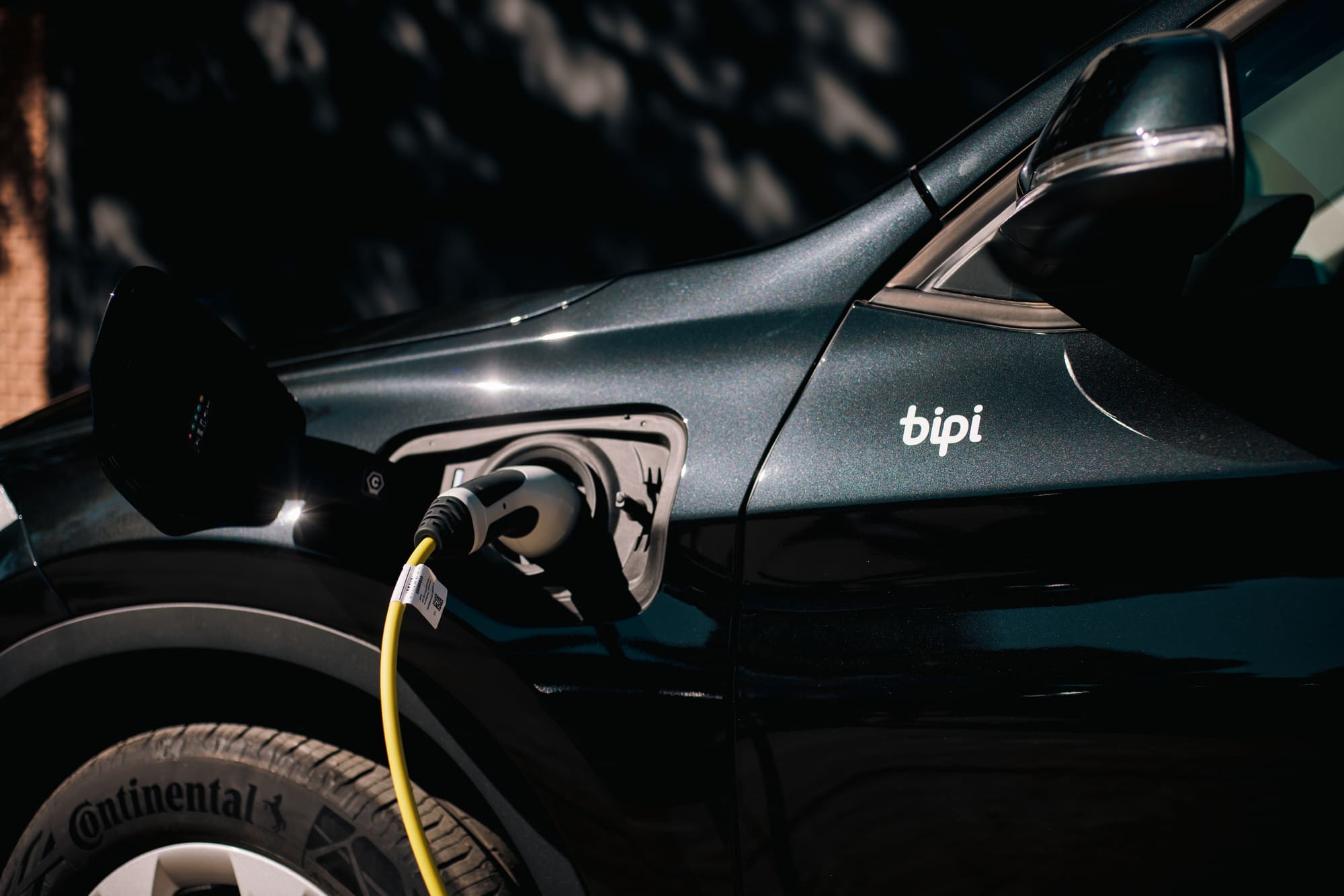 Bipi coches enchufables