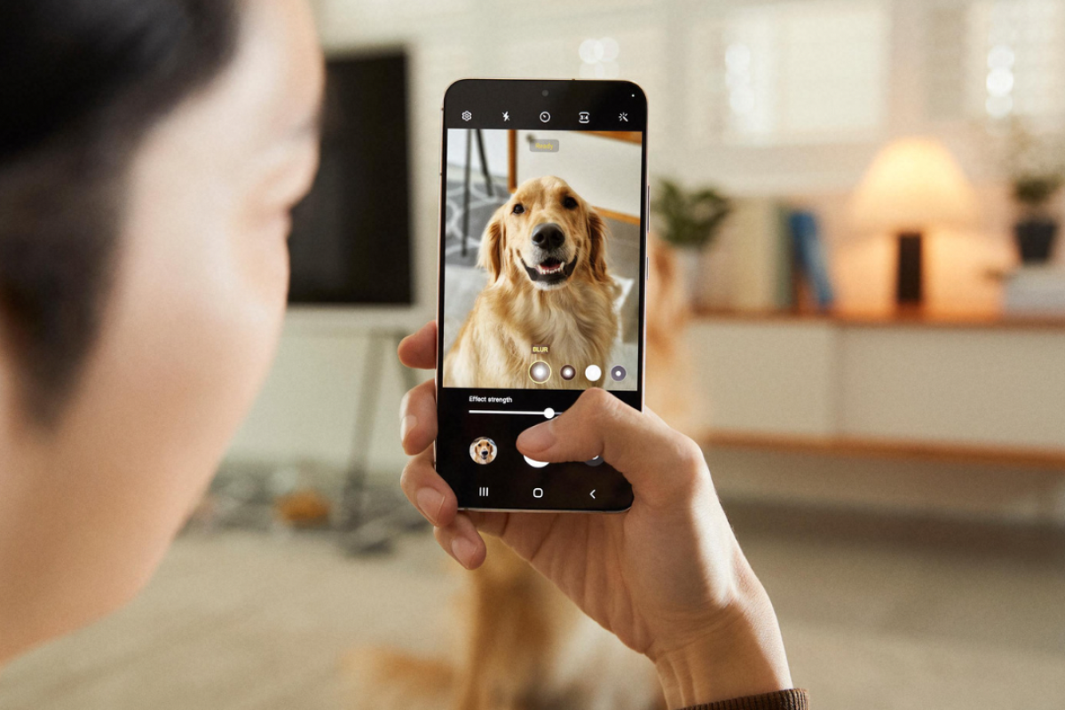 23fe71f3-8fab-4285-a7d7-e84ff0cbdaca-1