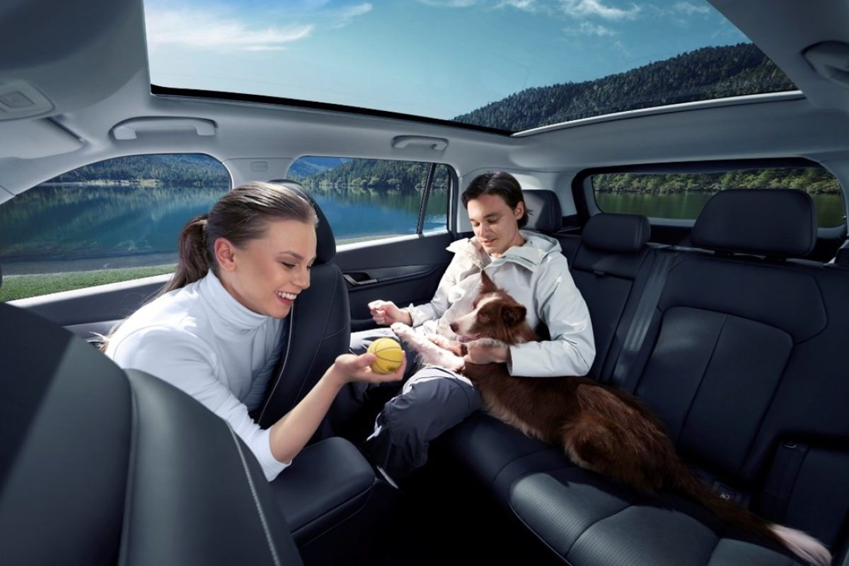 JAECOO y Kiwoko unen fuerzas para ayudar a los animales más necesitados