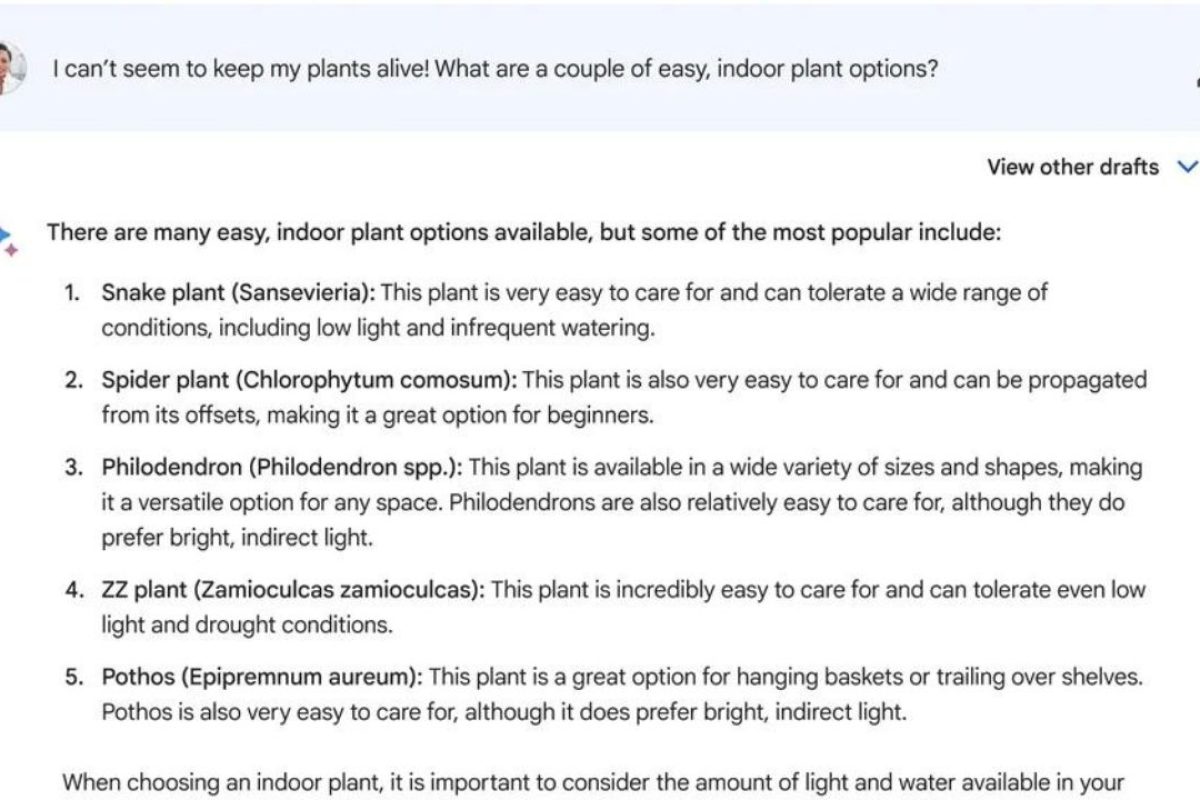 bard google competencia de google