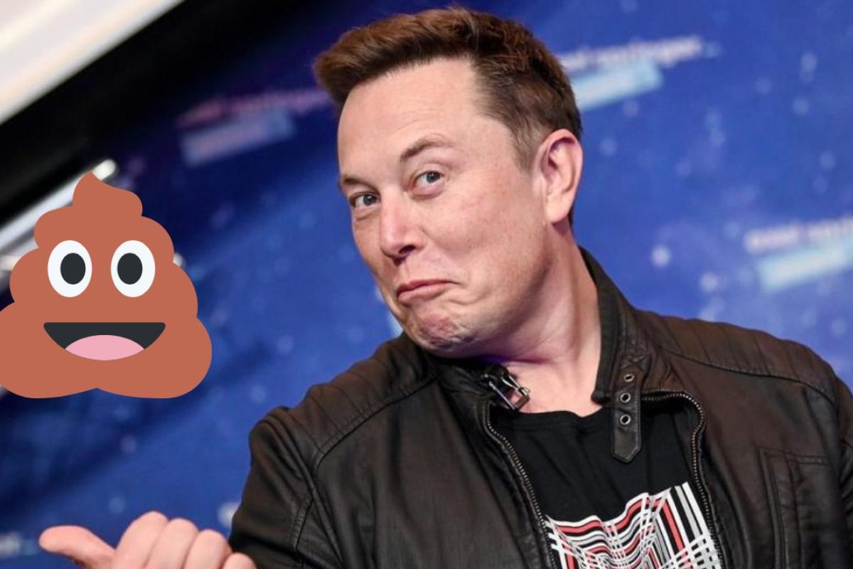 caca elon musk prensa